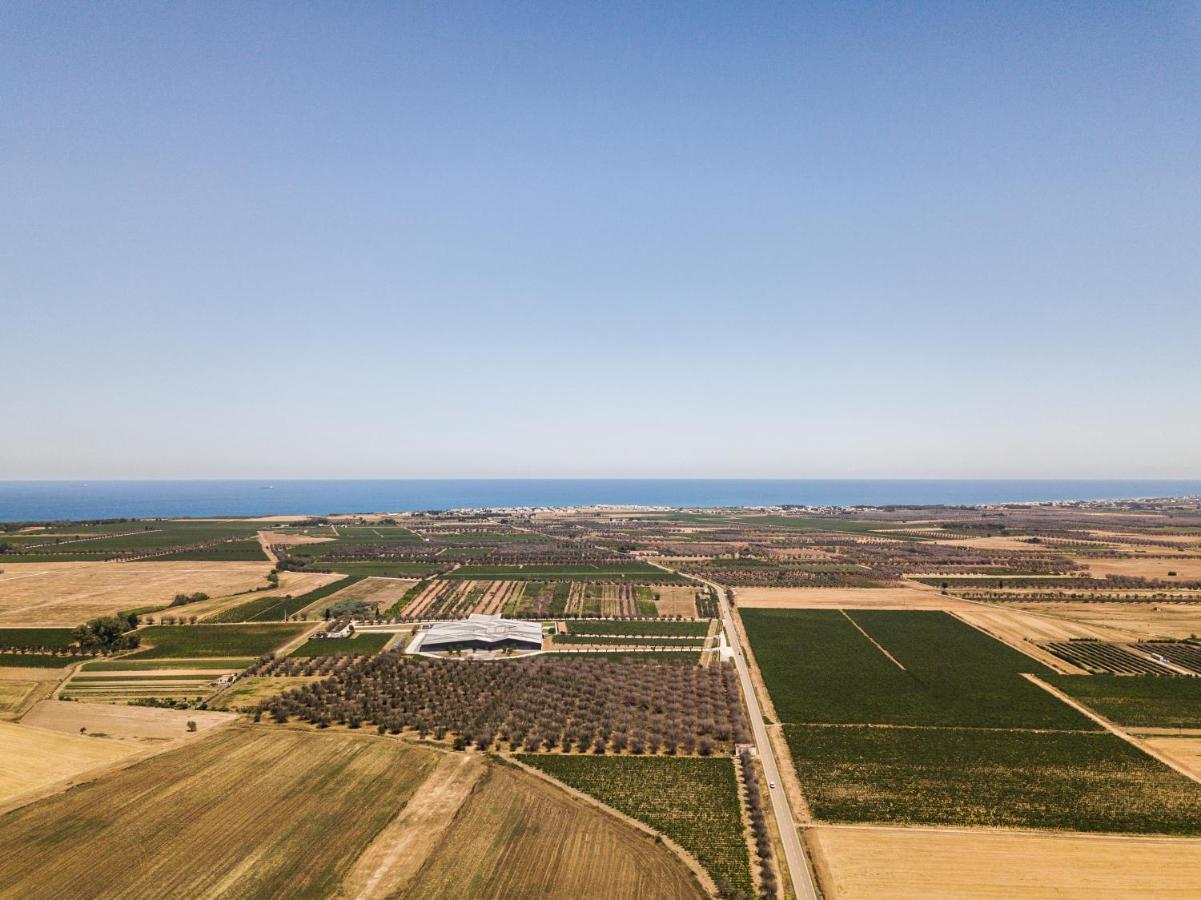 Masseria Torleanzi Wine Relais San Pietro Vernotico Eksteriør billede